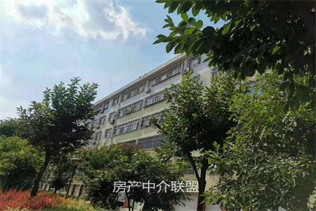 城东奥体新城2室2厅1卫78万100.43m2出售